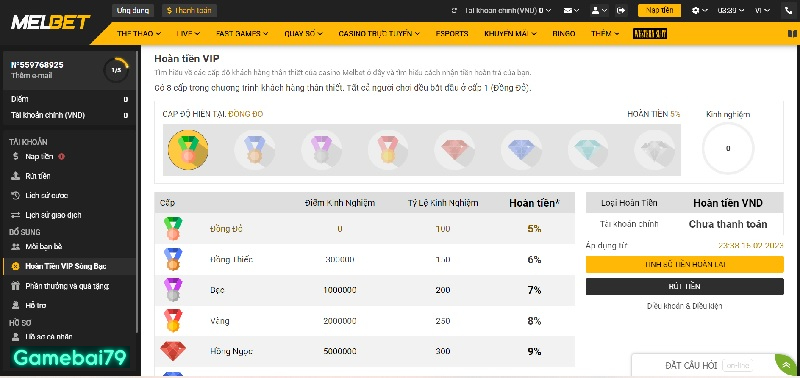 Cơ chế hoàn tiền Vip dành cho người chơi cá cược online