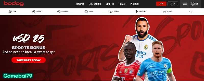 Cá cược thể thao bộ môn được nhiều anh em yêu thích nhất hiện nay