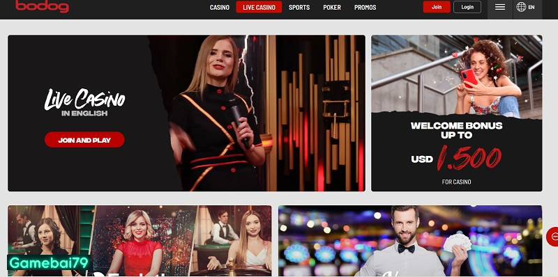 Live Casino - Cá cược nhận thưởng nhanh chóng, lớn về tay mình