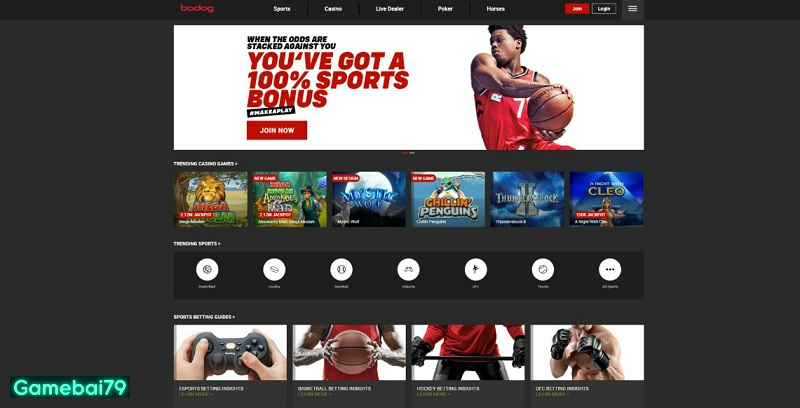 Đường link chính thống, uy tín giúp bạn trải nghiệm thích thú nhất 