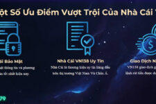 VN138 – Nhà cái cá cược trực tuyến uy tín nhất Châu Á