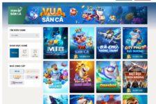 Bắn cá Sin88 – Săn cá khủng về rinh quà mỏi tay đi