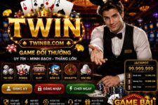 Twin – Cổng Game Giải Trí Hiện Đại Được Yêu Thích Hiện Nay